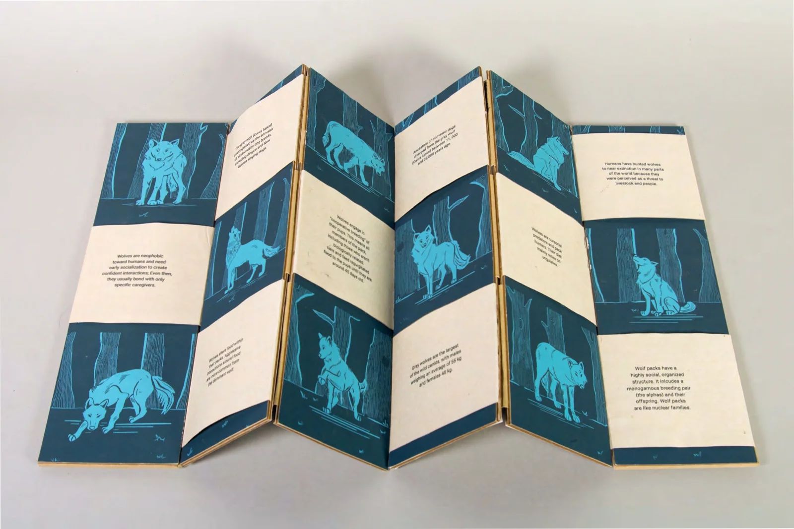Cover of Canidae
